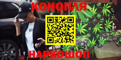 МДПВ Будённовск