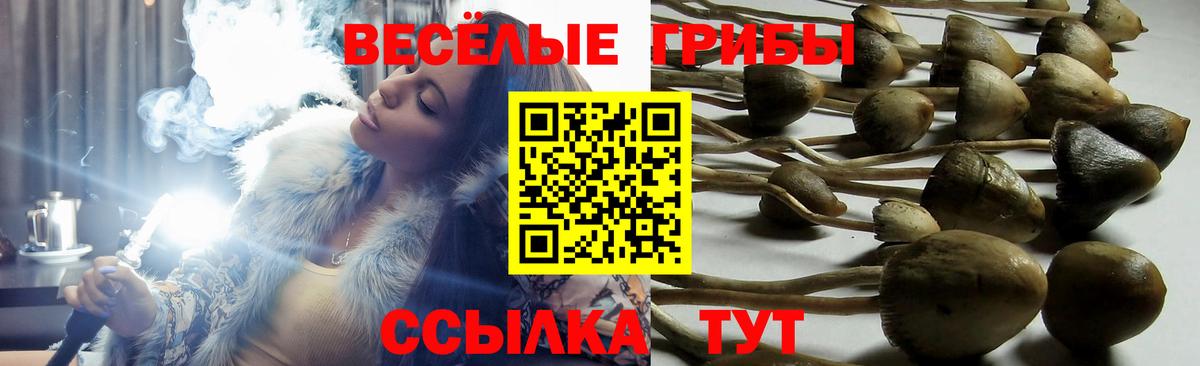 Галлюциногенные грибы ЛСД  Псилоцибиновые грибы Magic Shrooms  Вход с VPN  Сыктывкар 